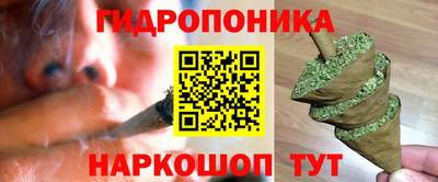 спиды Бийск