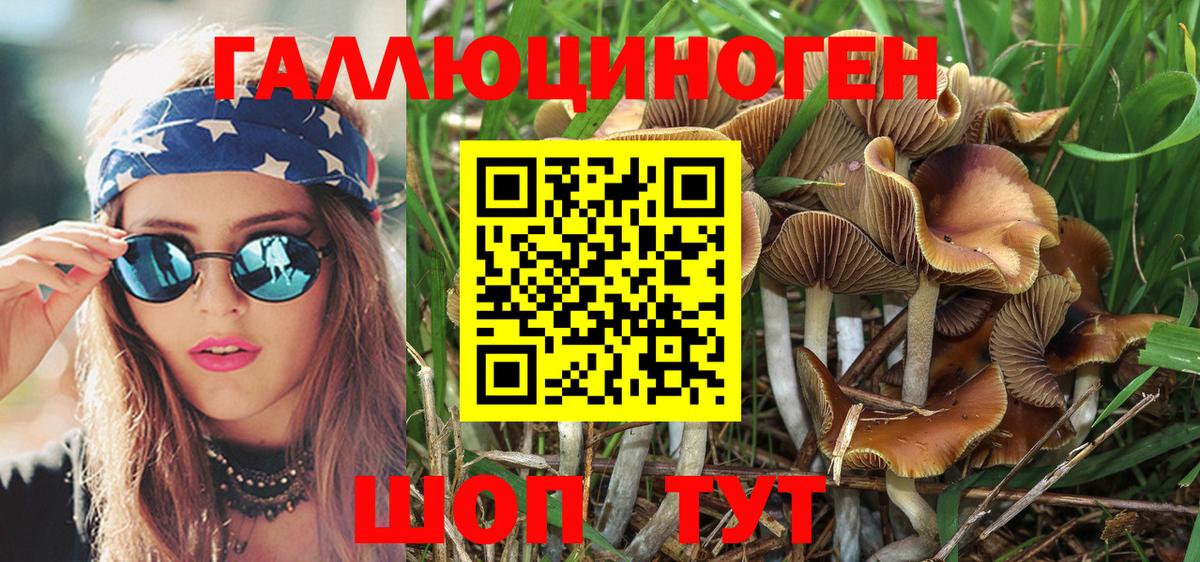 Псилоцибиновые грибы Psilocybe Кирово-Чепецк