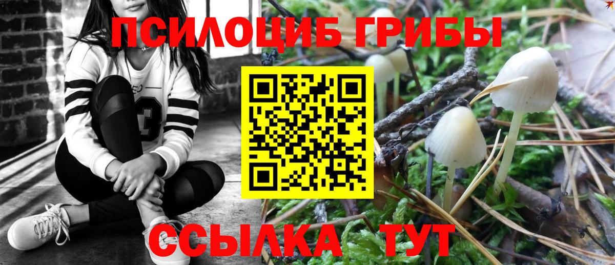 Кирово-Чепецк  Галлюциногенные грибы Psilocybe  Вход с VPN 